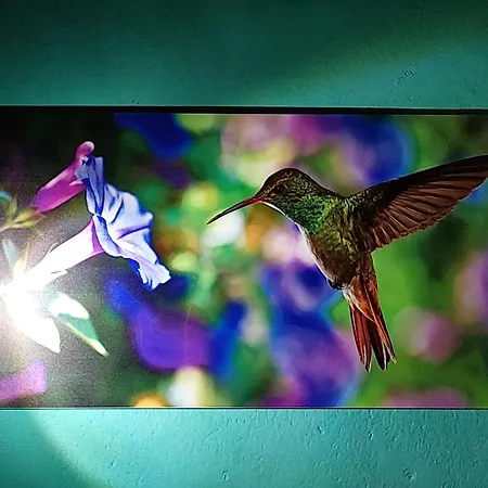 Habitación en casa particular Stanza Il Melo In Fiore Ferrara