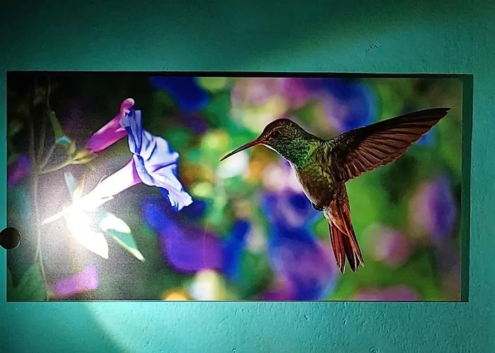 홈스테이 Stanza Il Melo In Fiore 페라라